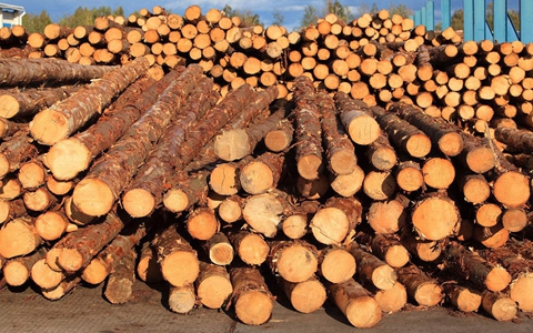 尚普咨询：进口木材产品进入中国市场分析咨询案例