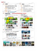 尚普咨询：中国视频网站行业市场调研咨询案例