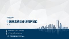 尚普咨询-中国珠宝鉴定市场调研项目