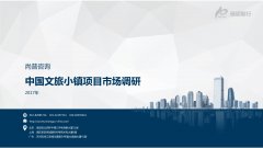 尚普咨询-中国文旅小镇项目市场调研