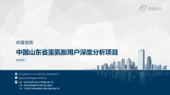 尚普咨询-2020年中国山东省蛋氨酸用户深度分析项目