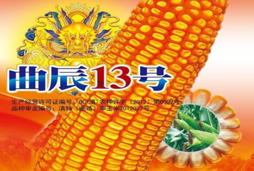 尚普咨询：2022年4月大田作物类种子十大热门品牌市场调查