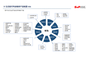 中国教育安防市场调研项目案例