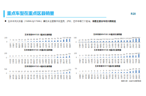 芳纶纤维在中国市场的需求与供给分析项目案例