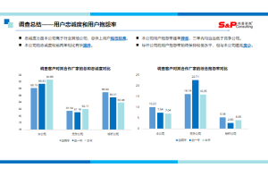中国纸浆行业市场调研项目案例