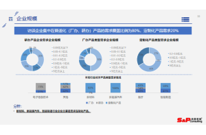 某国际投资机构对中国锂电池正极材料领域的投资机会分析项目案例