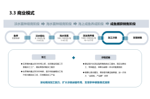 从单次项目到核心能力：尚普咨询集团谈市场进入咨询的组织内化之道