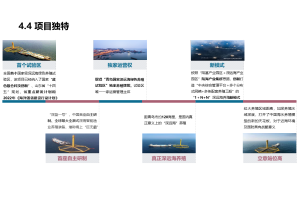 混合研究：广度与深度的尚普结合法