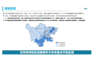 单项冠军申请的后续工作和维护，咨询公司如何提供持续服务