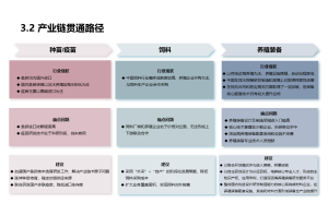 您的企业需要工业咨询吗尚普咨询集团有解决方案