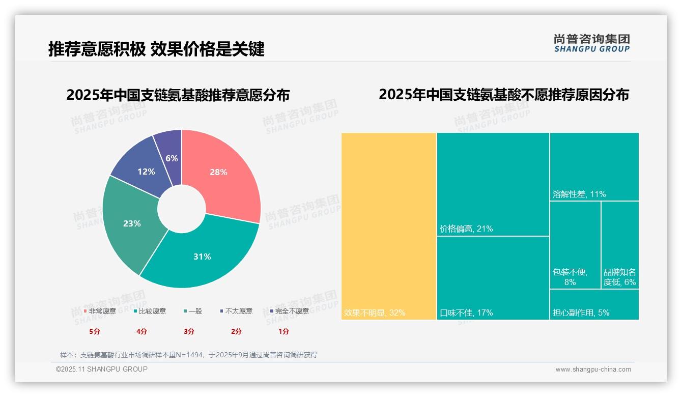 31%消费者因肌肉恢复选择BCAA——尚普咨询集团研究报告关键发现-2025年11月-支链氨基酸-38