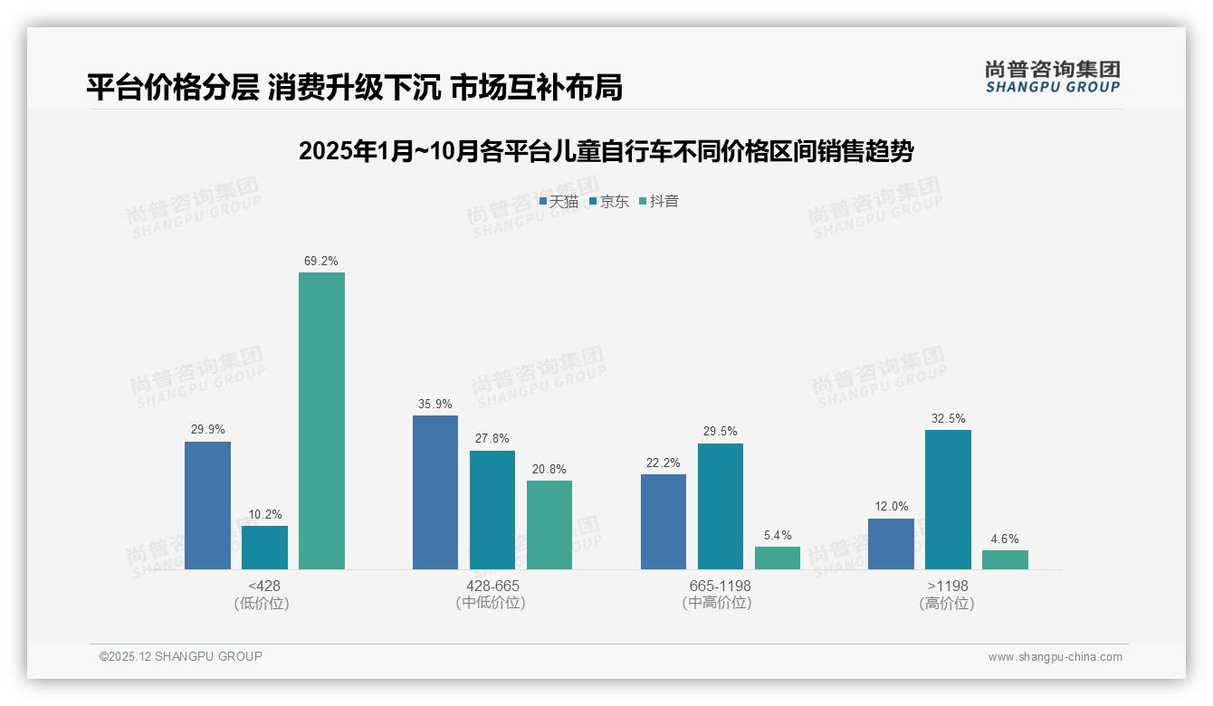 线上综合电商50%渠道占比儿童自行车品牌旗舰店加码——尚普咨询集团研报速览-2025年12月-儿童自行车-38