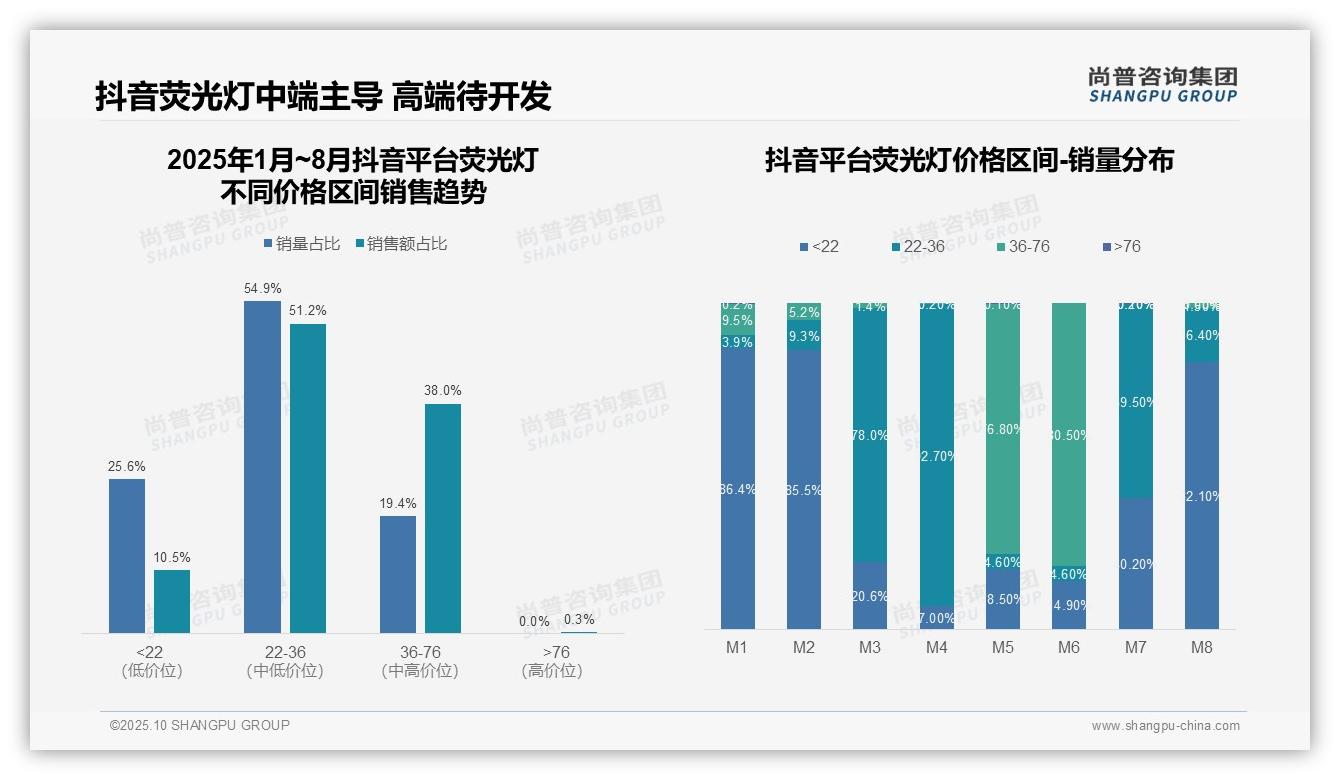 消费者89.2%选择荧光灯中端价位——尚普咨询集团白皮书核心观点-2025年10月-荧光灯-38