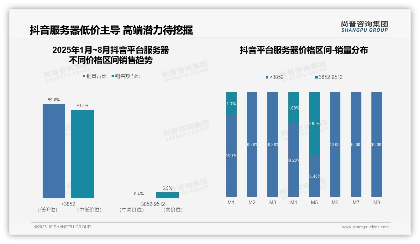 尚普咨询集团报告解读：为何说抖音服务器销售额93.5%来自低端市场-2025年10月-服务器-38