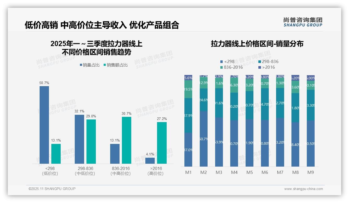 62.1%市场份额显示平台主导力——尚普咨询集团市场研究报告-2025年11月-拉力器-38