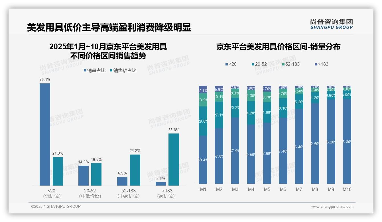 美发用具两极分化76.1%低价销量仅21.3%销售额_品牌急需利润重构——尚普咨询集团报告披露-2026年1月-美发用具-38