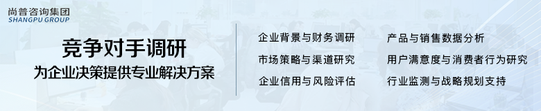 当对手已看清未来：尚普咨询集团如何用竞争对手调研为您赢得2025