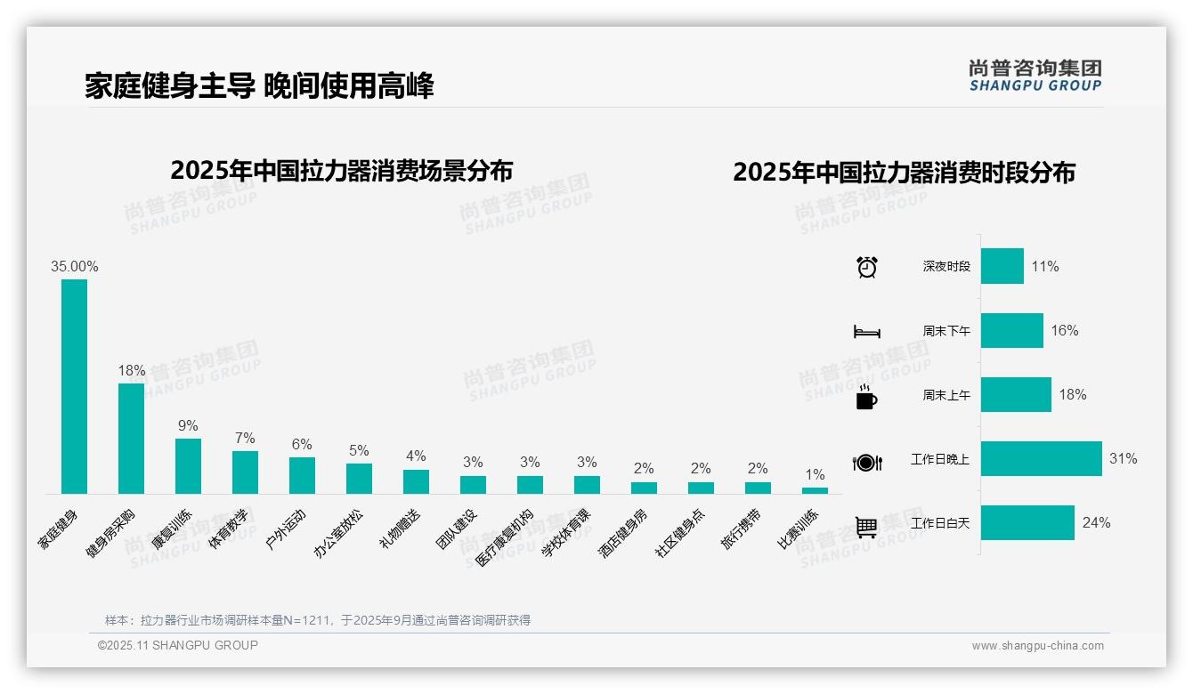 41%消费者青睐中档拉力器——尚普咨询集团数据解读-2025年11月-拉力器-38