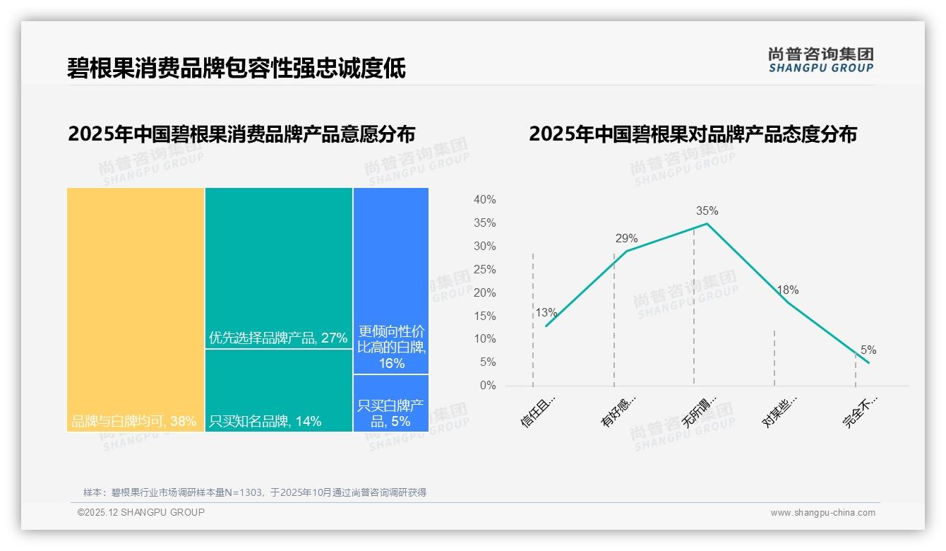 26-35岁人群占31%碧根果月购一次成刚需，品牌如何锁定——尚普咨询集团趋势雷达报告-2025年12月-碧根果-38