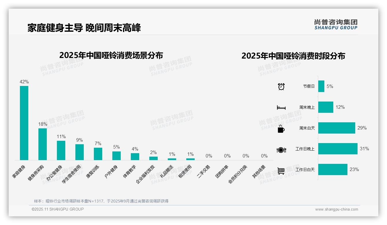 41%消费者选择中等价位哑铃——尚普咨询集团最新报告证实-2025年11月-哑铃-38
