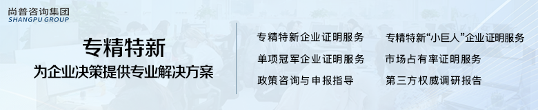 专精特新不只是称号尚普咨询集团赋予它实际价值
