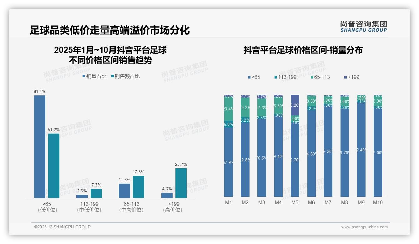 足球53%进口品牌偏好，国产47%份额逼近逆转关键点——尚普咨询集团权威发布-2025年12月-足球-38