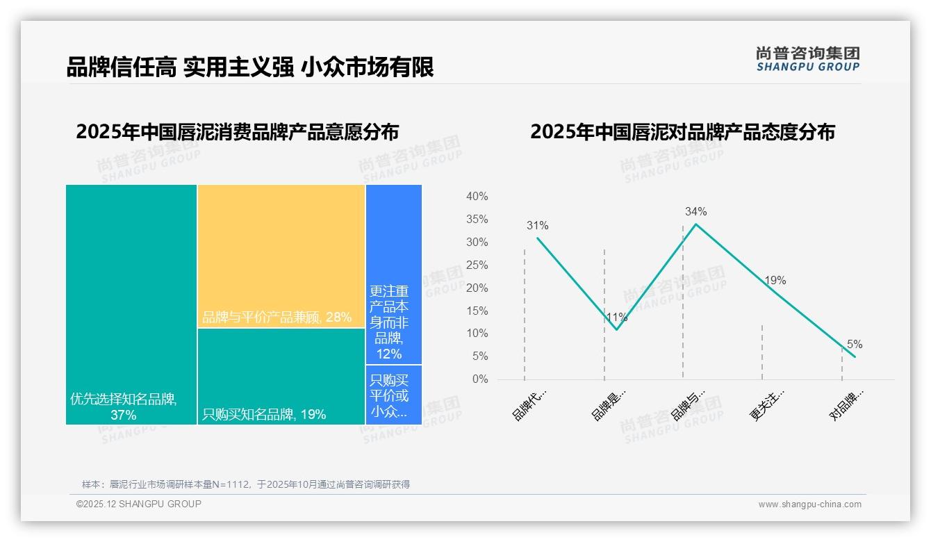 尚普咨询集团行业观察：73%国货唇泥份额，国产替代如何再抢27%进口空间-2025年12月-唇泥-38
