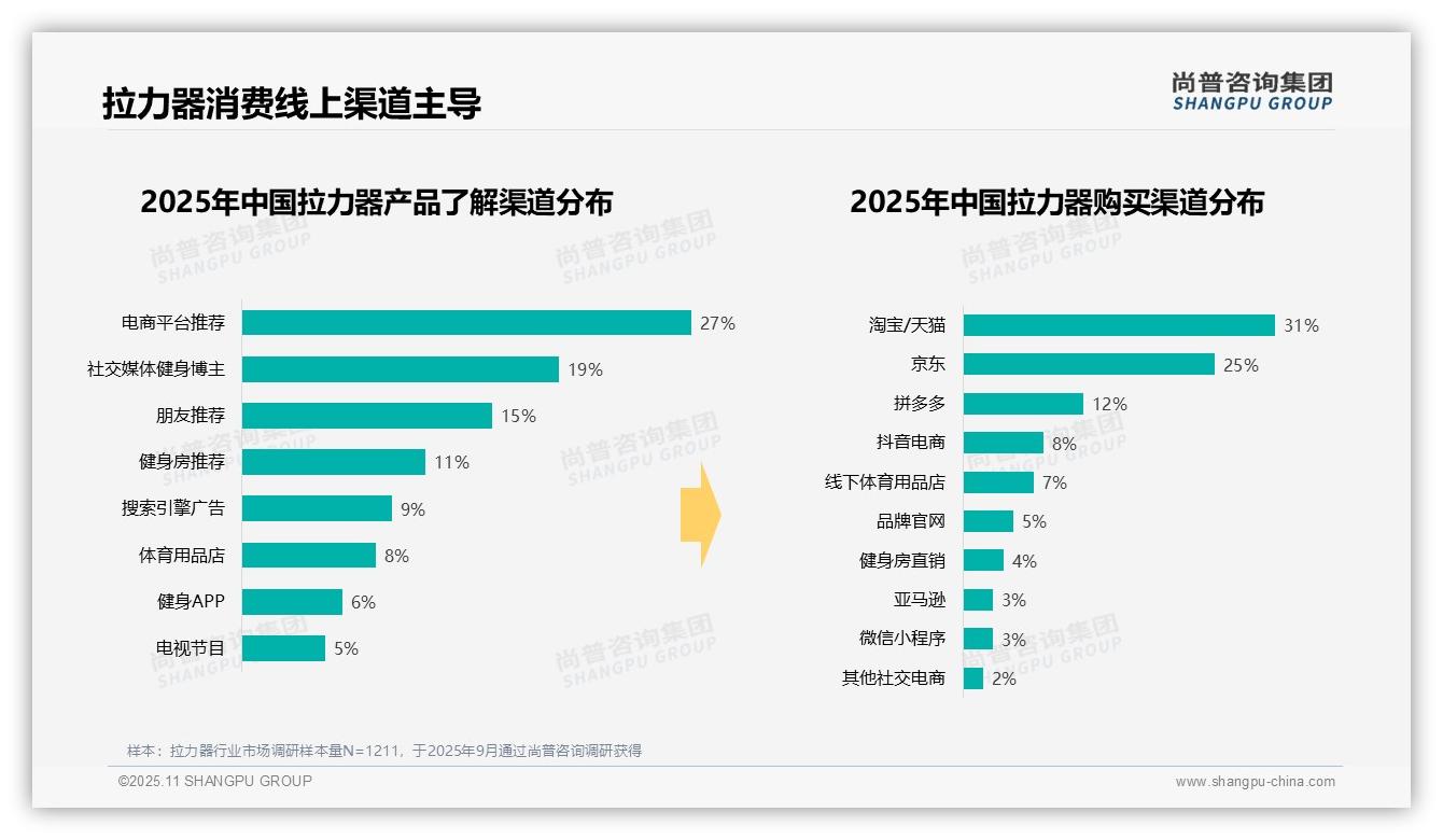 41%消费者青睐中档拉力器——尚普咨询集团数据解读-2025年11月-拉力器-38