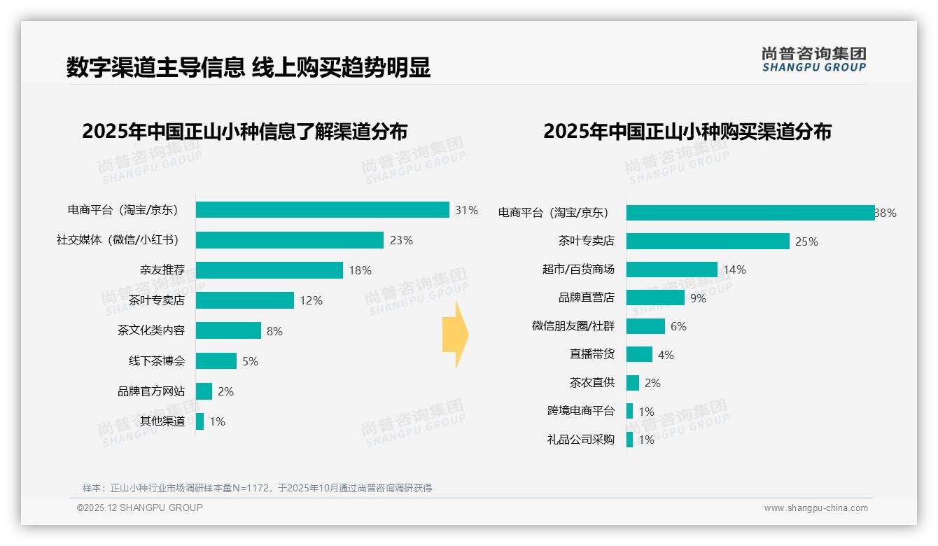 尚普咨询集团权威发布：26-35岁占31%正山小种个人消费决策权最大-2025年12月-正山小种-38