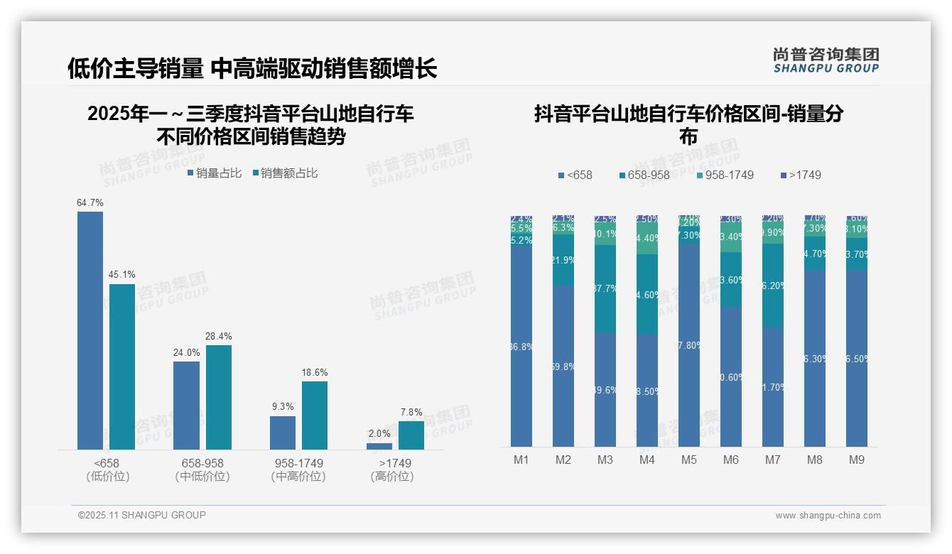 高端山地自行车19.9%销售额贡献，尚普咨询集团年度报告精华-2025年11月-山地自行车-38