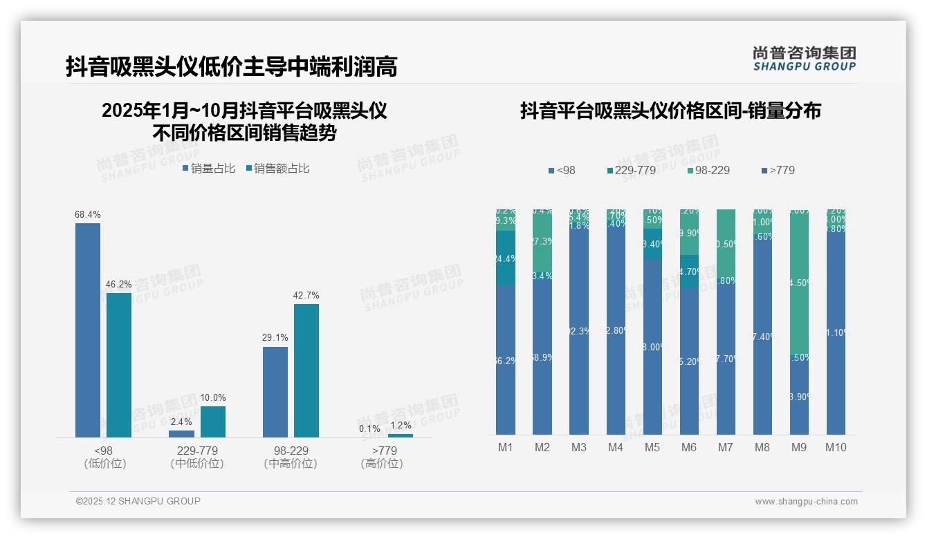100到300元价格段吸黑头仪贡献43%销量成黄金赛道——尚普咨询集团报告披露-2025年12月-吸黑头仪-38