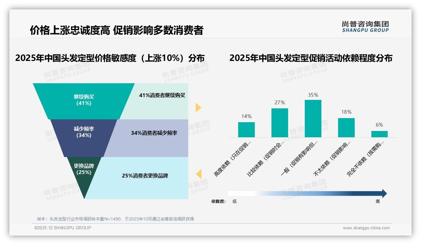智能推荐22%需求最高，头发定型数字化体验缺口——尚普咨询集团专题解读-2025年12月-头发定型-38