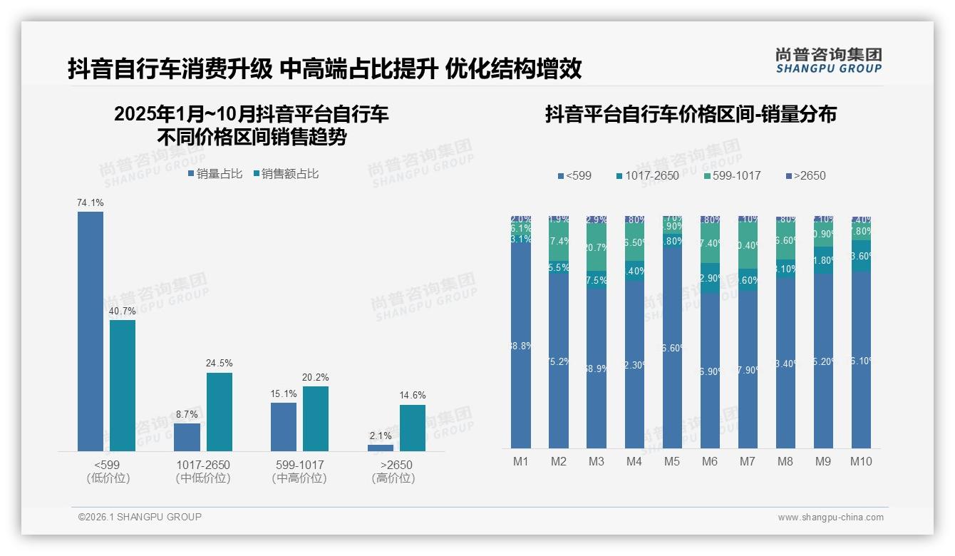 尚普咨询集团数据洞察：26-35岁男性占31%自行车年购率41%引爆下沉市场-2026年1月-自行车-38