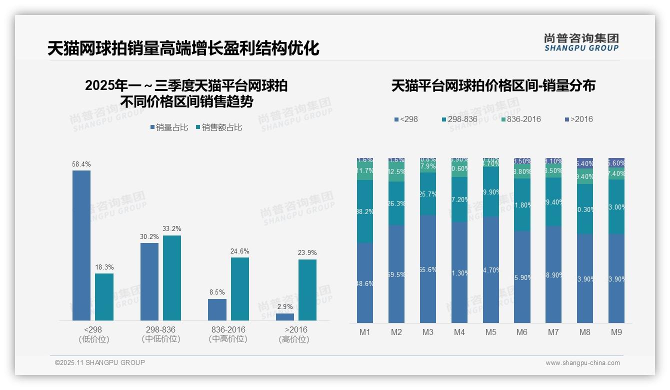 抖音中高端网球拍销售额占比43.5%——尚普咨询集团报告深度解析-2025年11月-网球拍-38
