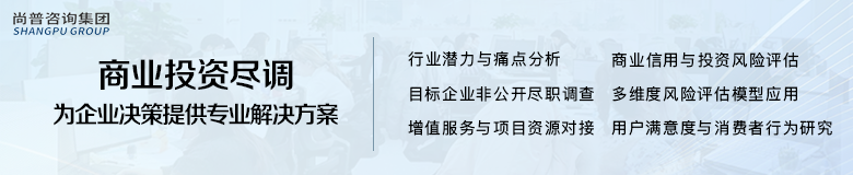 跨境投资雷区遍布？尚普咨询集团商业投资尽调为您精准排雷