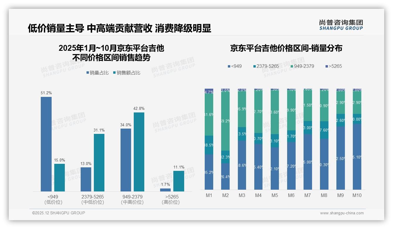 尚普咨询集团数据洞察：男性68%主导吉他消费，音质价格双核驱动-2025年12月-吉他-38