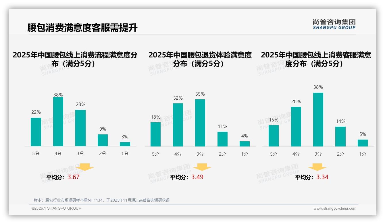 尚普咨询集团数据洞察：26至35岁人群占31%腰包消费，中等收入月入5~8万成主力-2026年1月-腰包-38