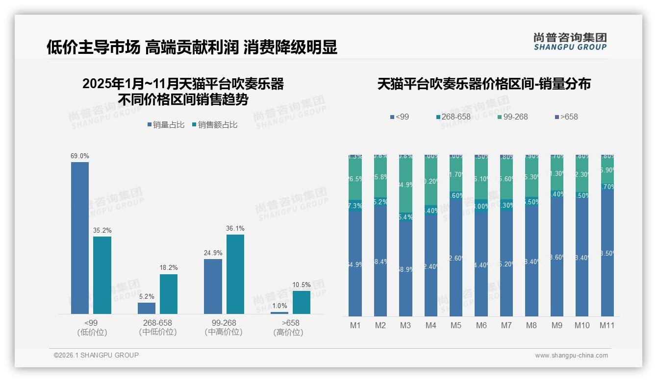 抖音高客单43.7%份额吹奏乐器高端化，内容电商如何溢价——尚普咨询集团独家披露-2026年1月-吹奏乐器-38